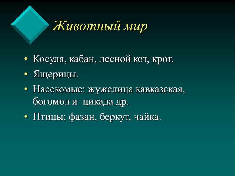 Животный мир Косуля, кабан, лесной кот, крот. Ящерицы. Насекомые: жужелица кавказская, богомол и 